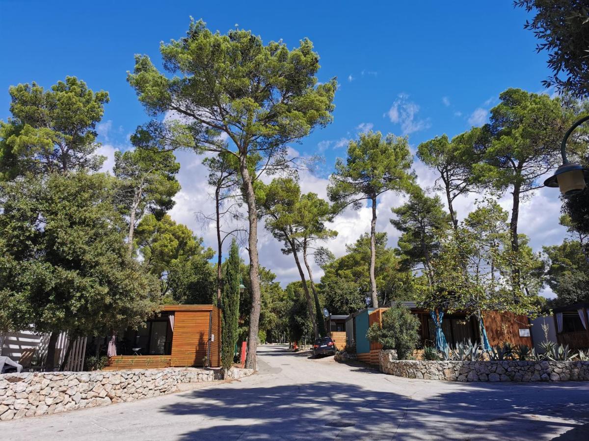 Mobile Linico Campsite *