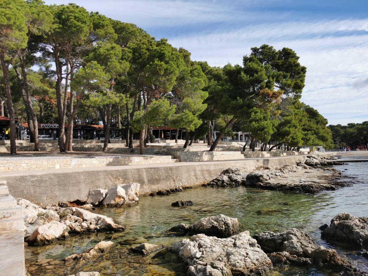 Campsite Mobile Linico